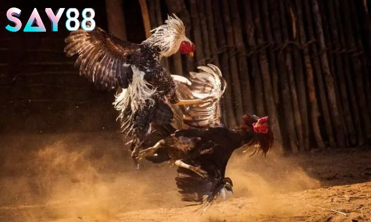 Lưu ý để chơi hiệu quả hơn