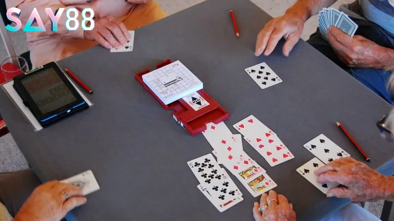 Cách học bài bridge hiệu quả hơn